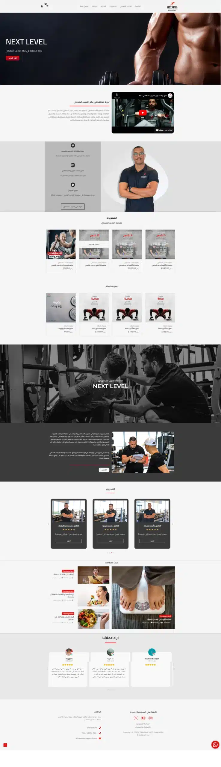 next level website full view